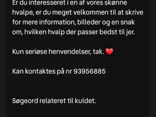 Fine søde hvalpe vandt til mennesker og kærlighed