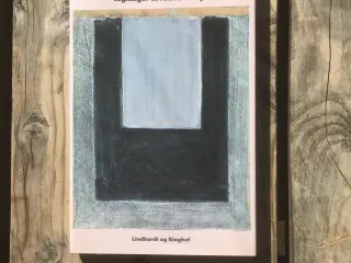 De skrøbelige, Peer Hultberg, emne: kunst, kultur