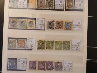 Danmark (129) Planche med ældre enkeltmærker og sæ