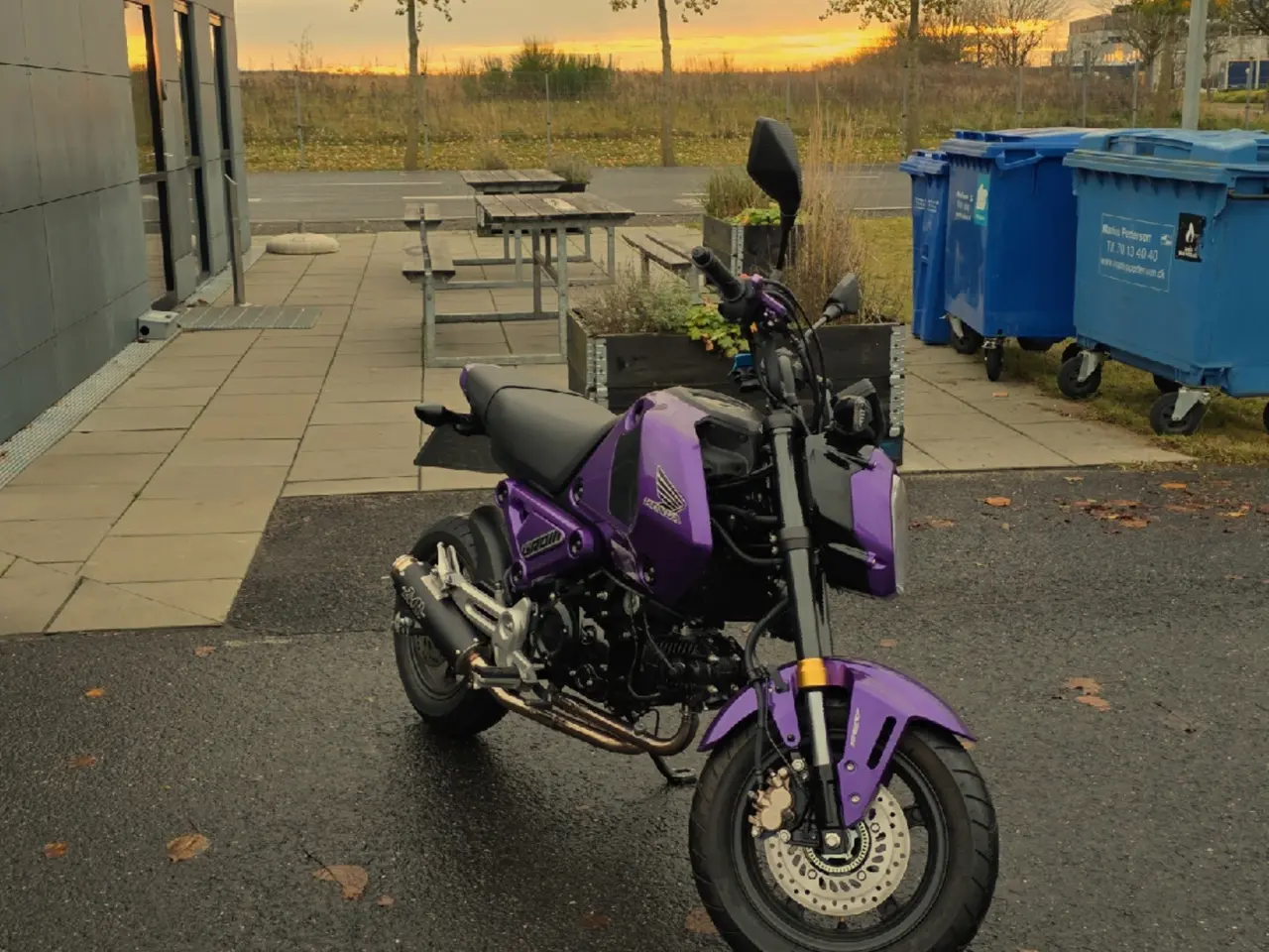 Billede 6 - Honda msx 125 evt bytte