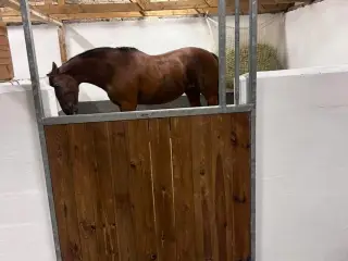 Boks låger fra jaba. 125,5 bred og 205 cm