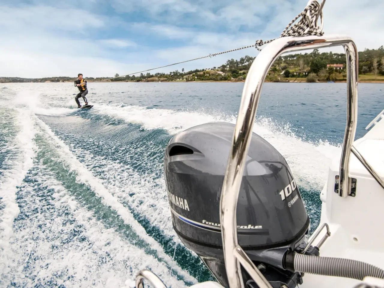 Billede 7 - Yamaha F100LB