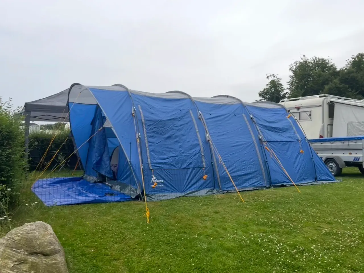 Billede 9 - Nyt familie telt til 6 personer