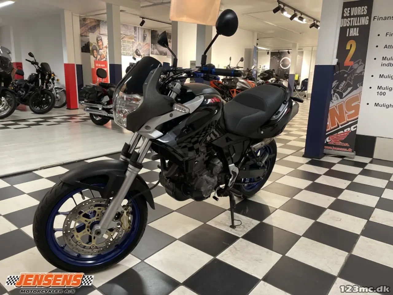 Billede 3 - Aprilia Pegaso 650