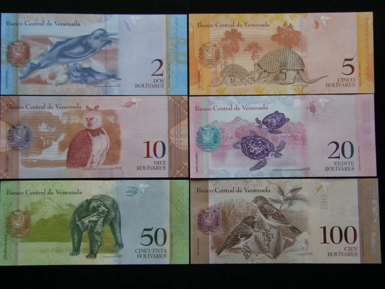 Billede 1 - Venezuela   6 Stk.   Unc.