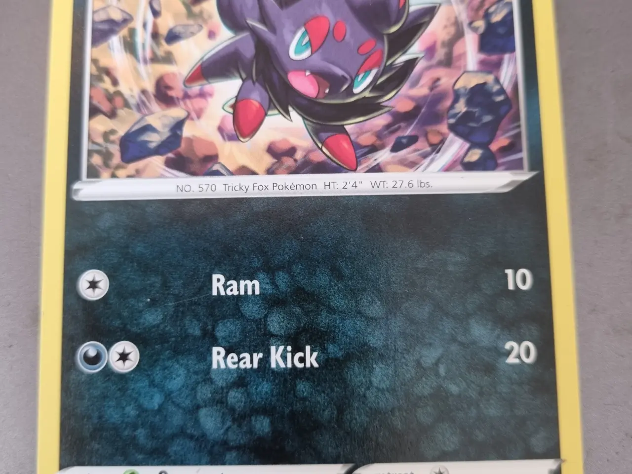 Billede 19 - Annonce 62 - Pokemon