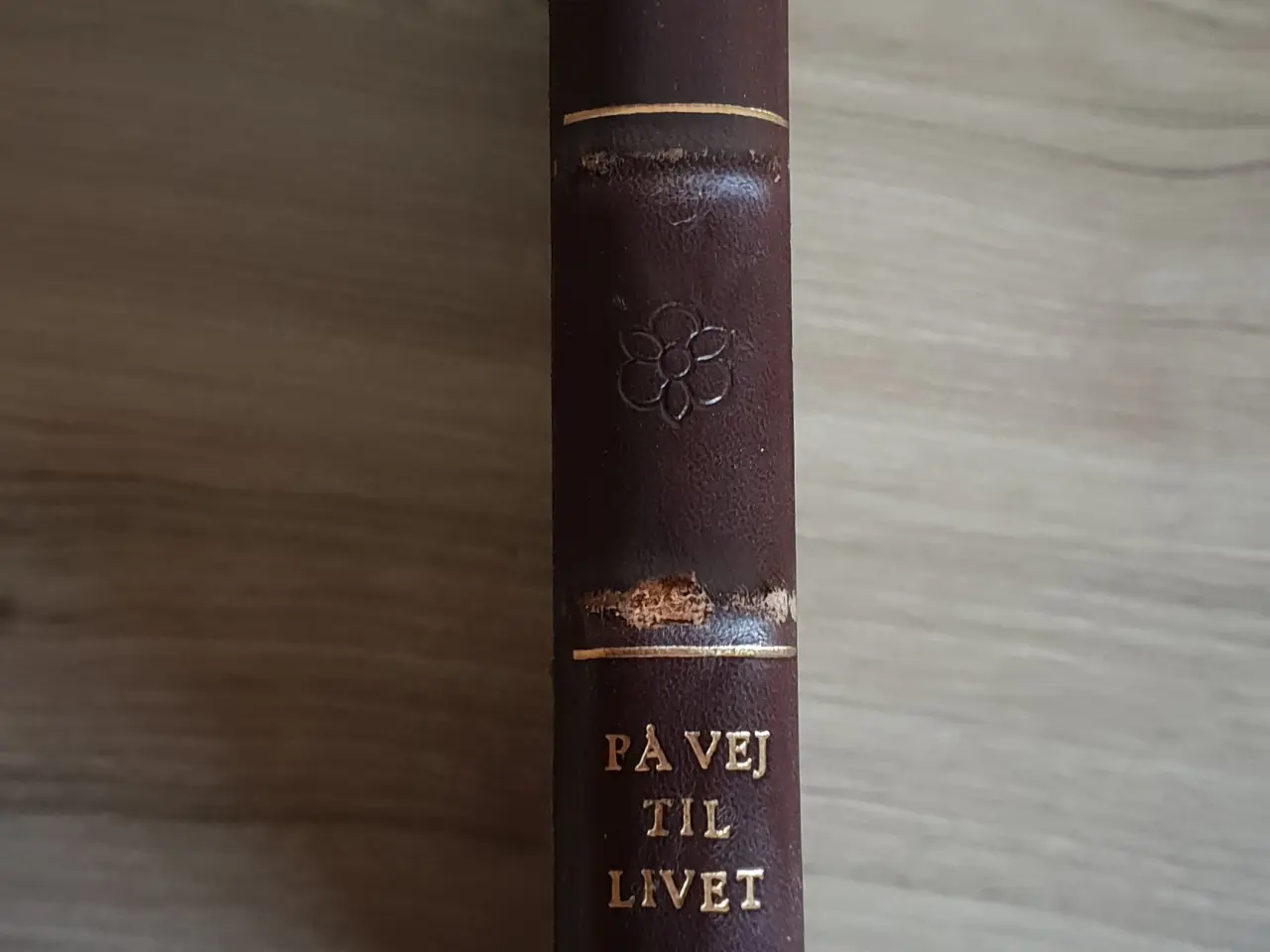 Billede 2 - Julius Bomholt: På vej til livet