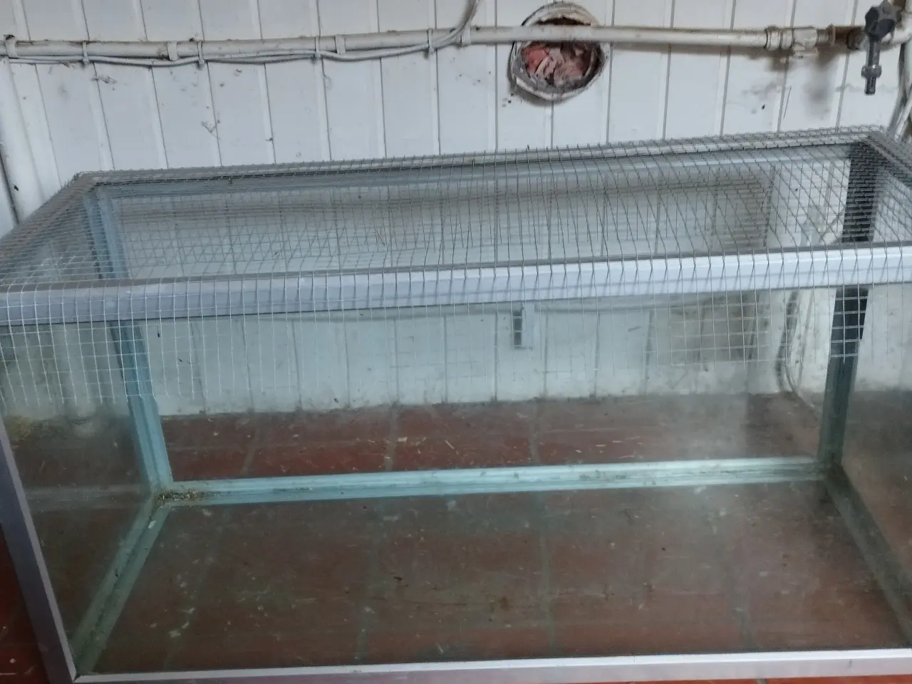 Billede 1 - Super stort og godt bur. L:100cm,H:50cm,D:40cm