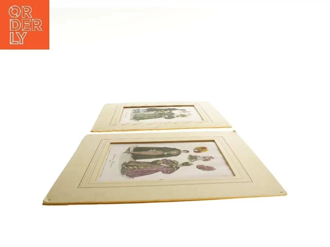 Billede 3 - Vintage modeillustrationer (str. 31x27,5 cm)