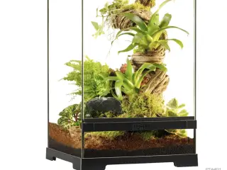 Exo terra lille terrarium