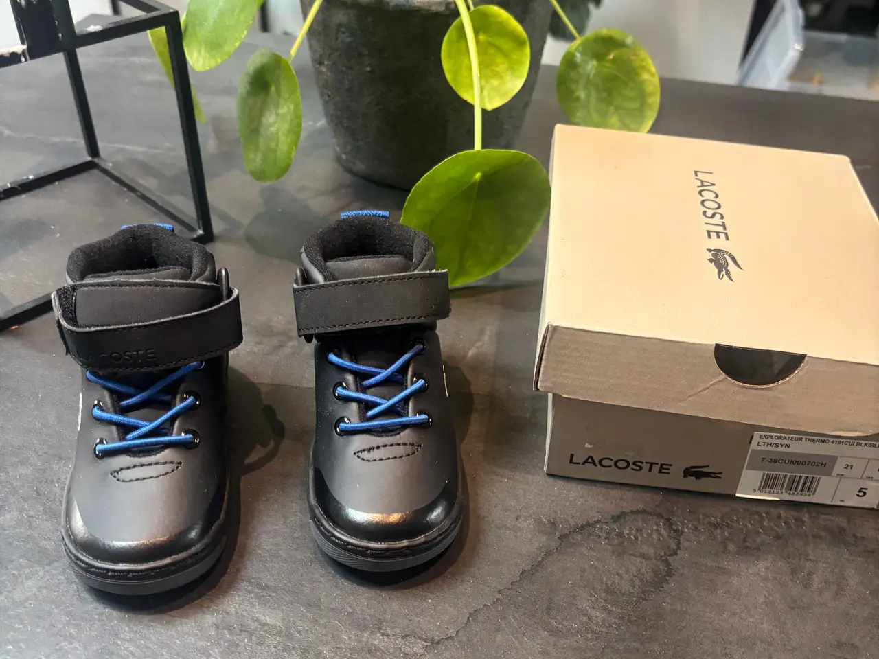 Billede 2 - Lacoste sneakers str 21
