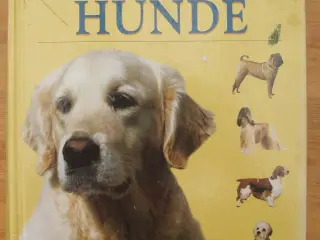 Den store bog om Hunde