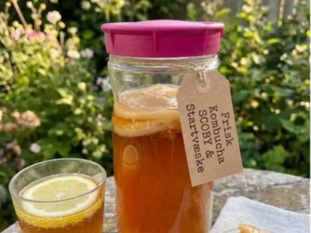 Billede 1 - Økologisk Kombucha SCOBY + startervæske – Lav din