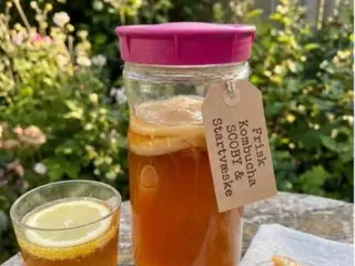 Økologisk Kombucha SCOBY + startervæske – Lav din