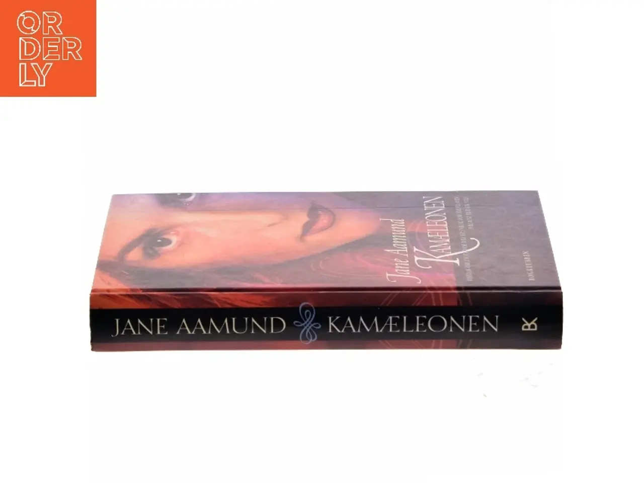 Billede 2 - Kamæleonen af Jane Aamund (Bog)