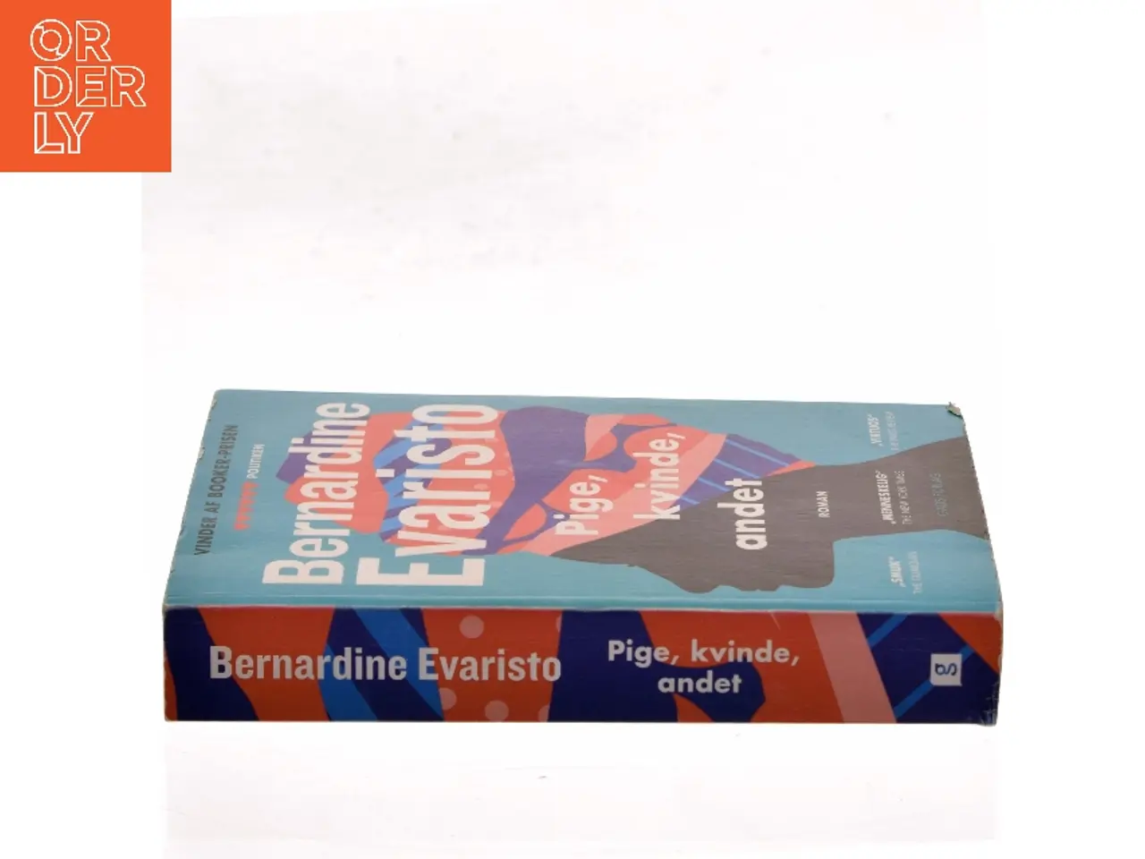 Billede 2 - Pige, kvinde, andet : roman af Bernardine Evaristo (Bog)