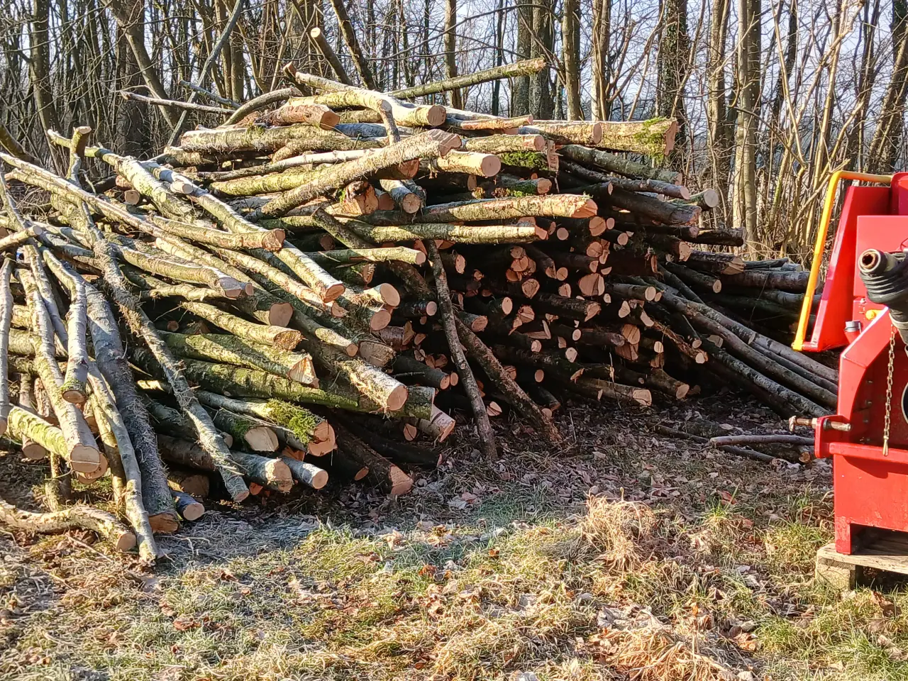 Billede 3 - Brænde af birketræ