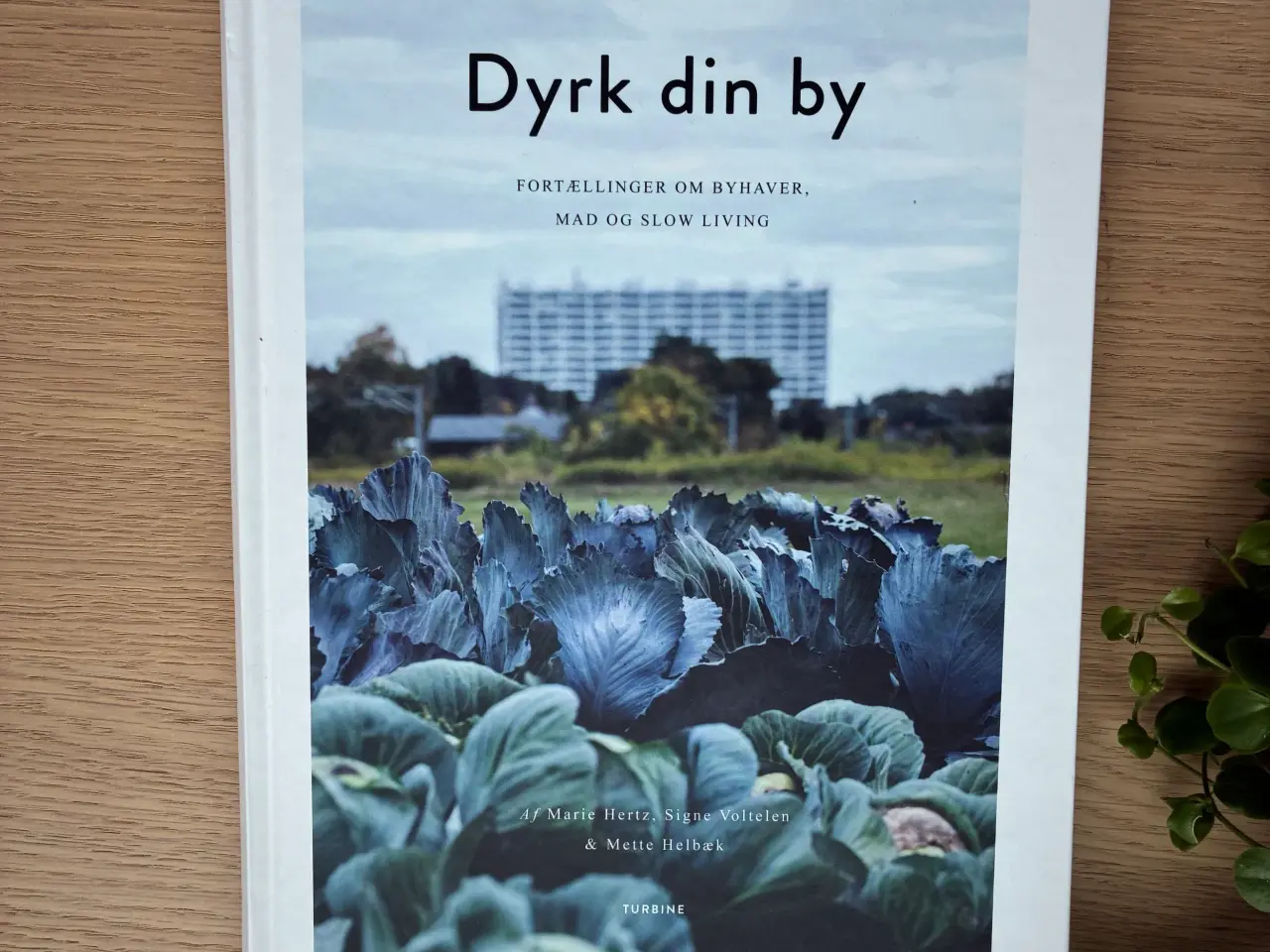 Billede 1 - Dyrk din by