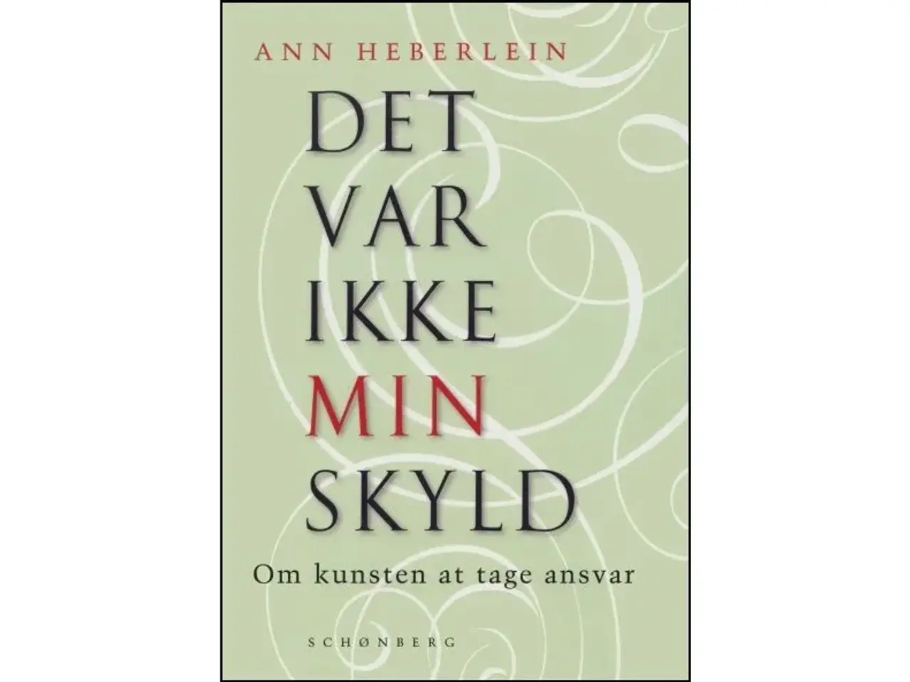 Billede 1 - Det var ikke min skyld - Om kunsten at tage ansvar