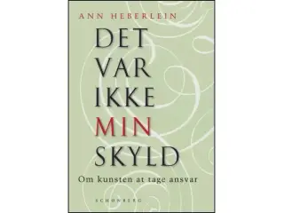 Det var ikke min skyld - Om kunsten at tage ansvar