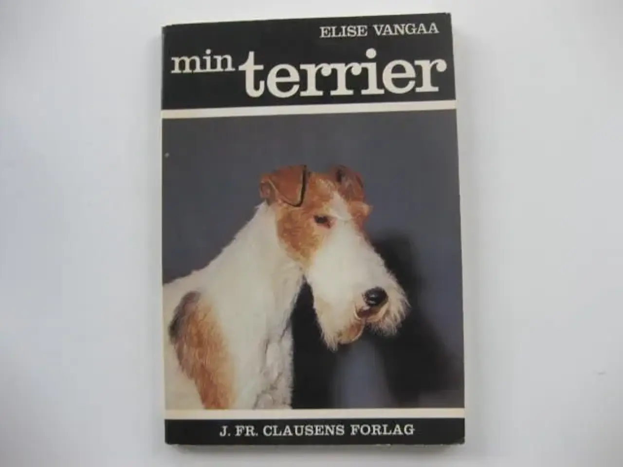 Billede 1 - min terrier
