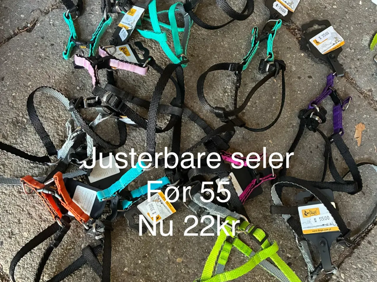 Billede 1 - Outlet Seler, Halsbånd og snor