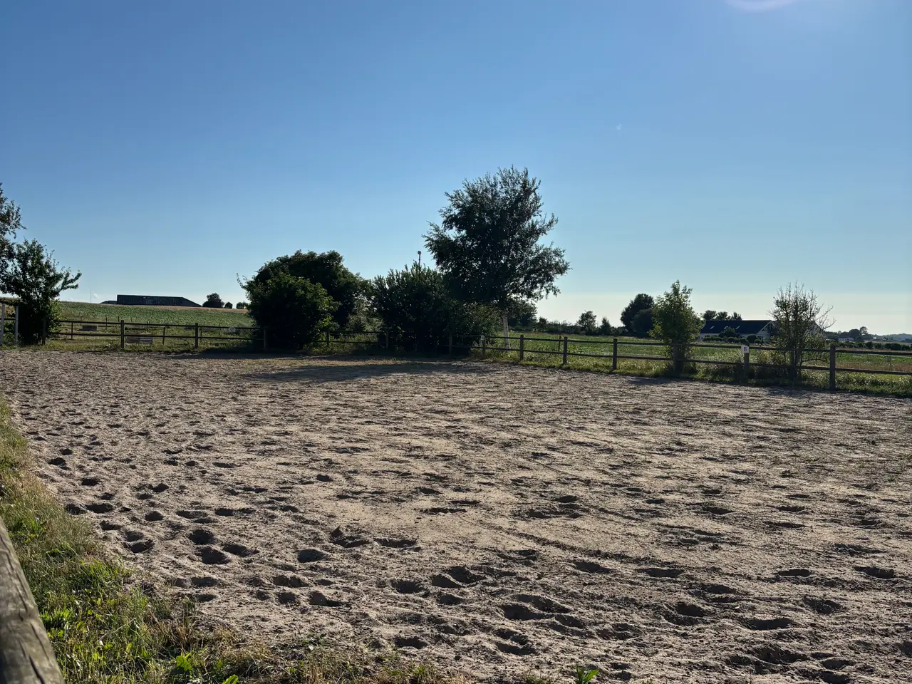 Billede 6 - Tilridning, gangsætning, kommission mm. Tilbydes