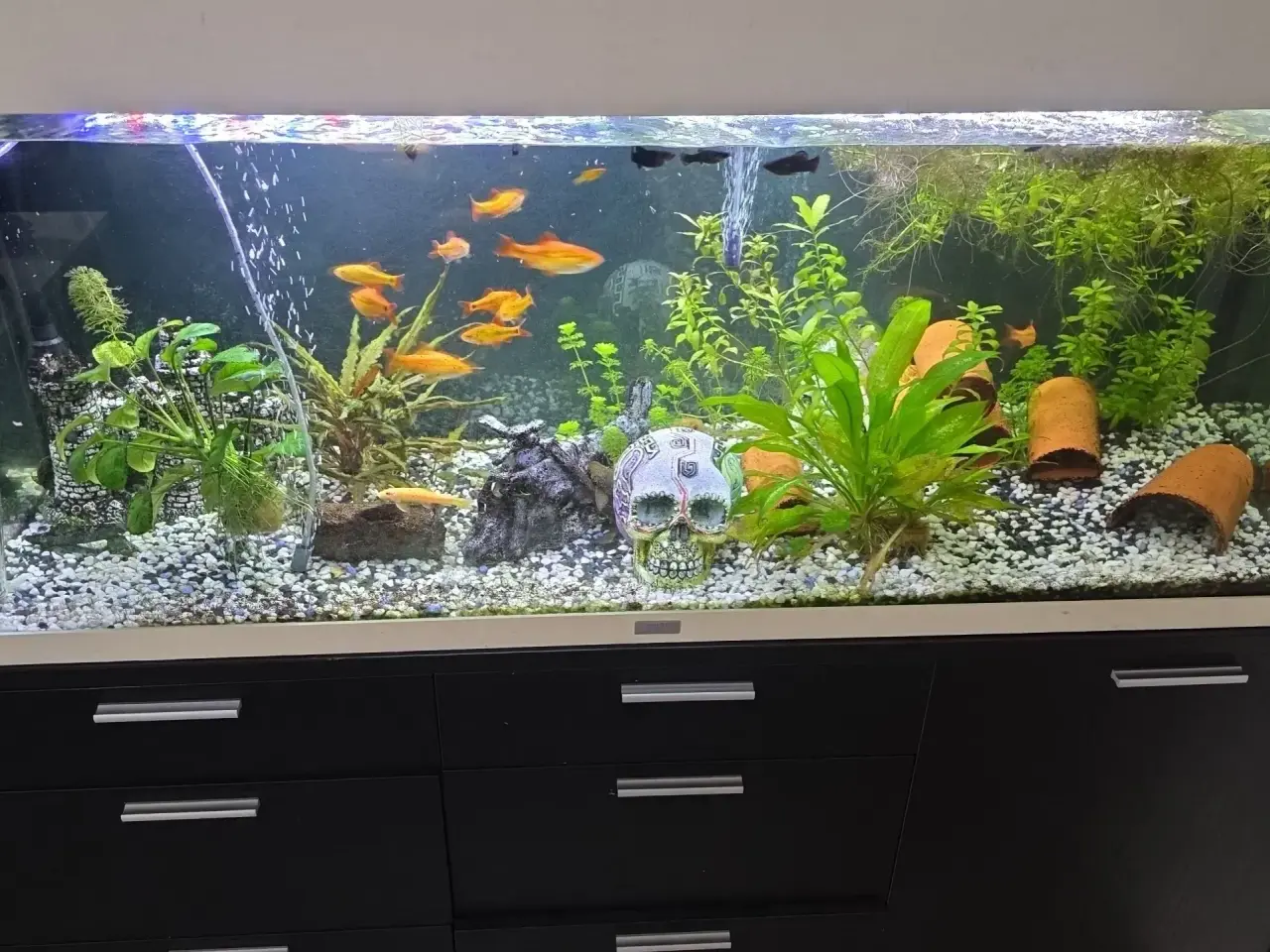 Billede 7 - Juveler Akvarie 340 L