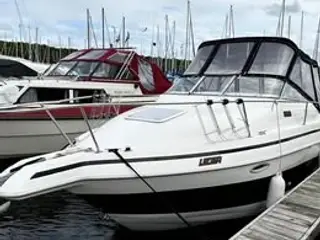 Glastron 249