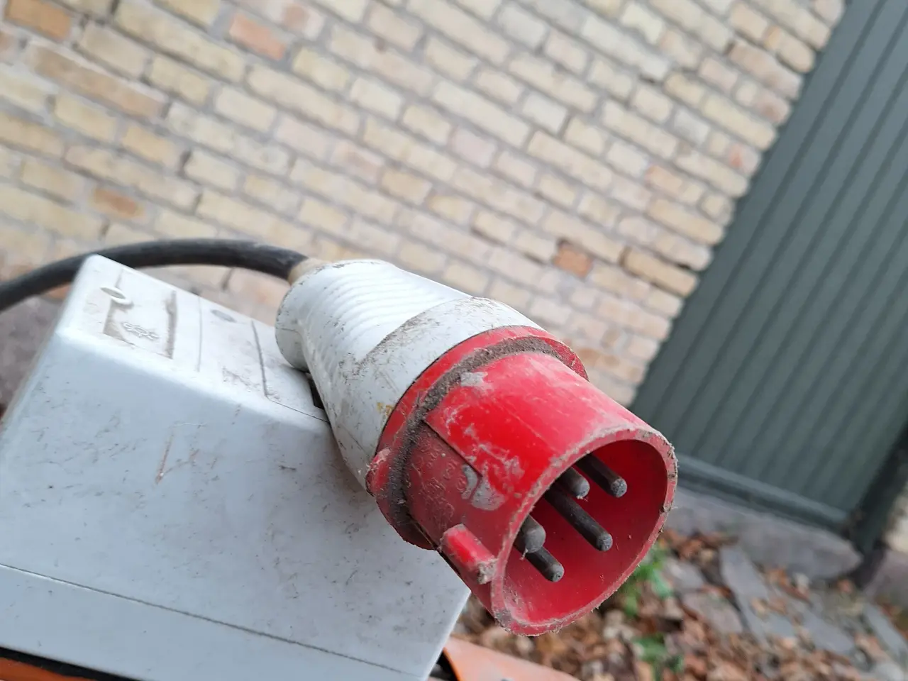 Billede 4 - Stor Kornsnegl "virker"