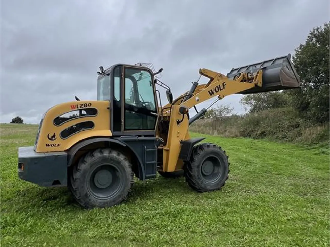 Billede 11 - Wolf WL280 - 6,5 ton - Video