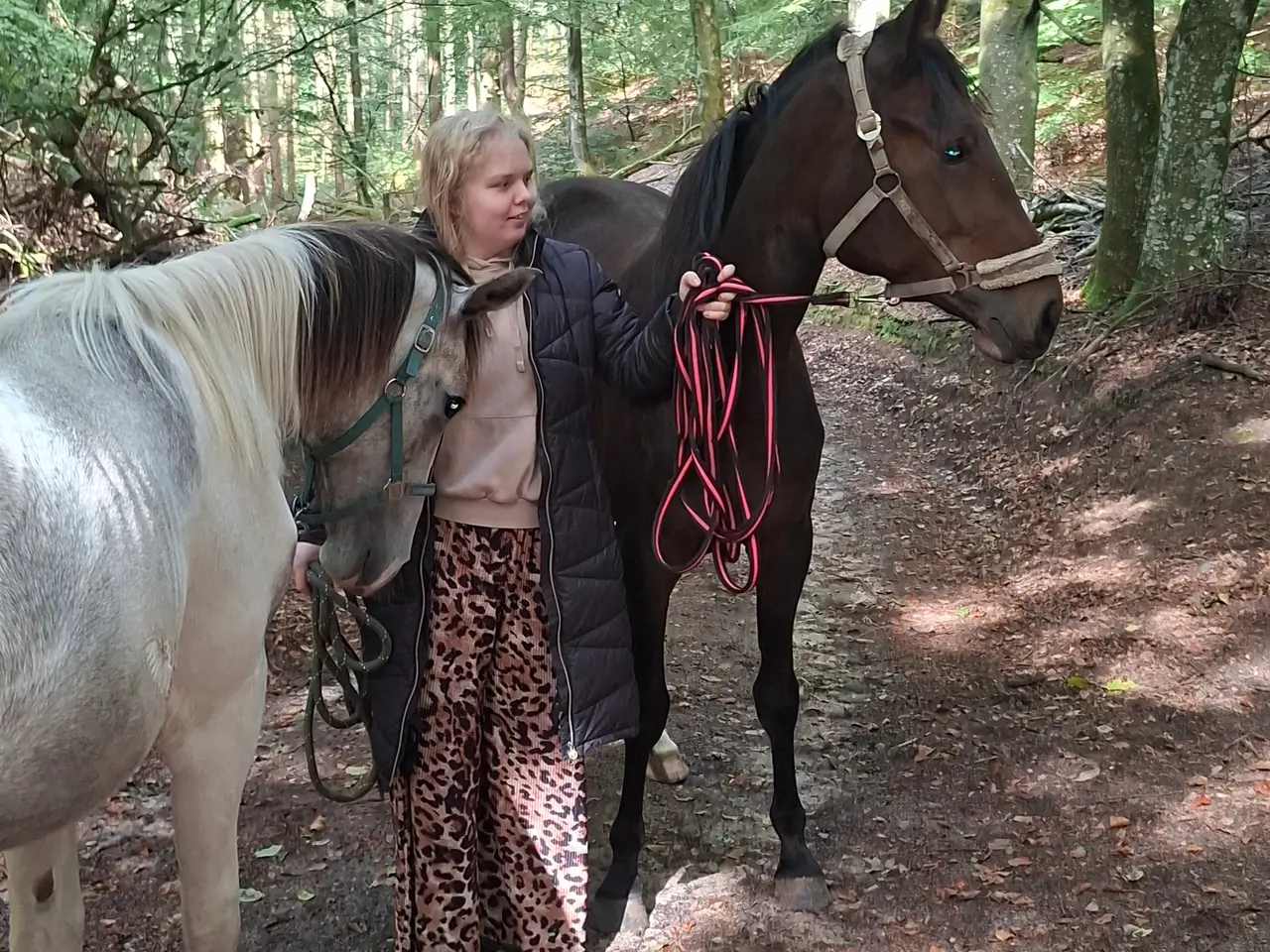 Billede 5 - Skøn 2 årig oldenborg blanding