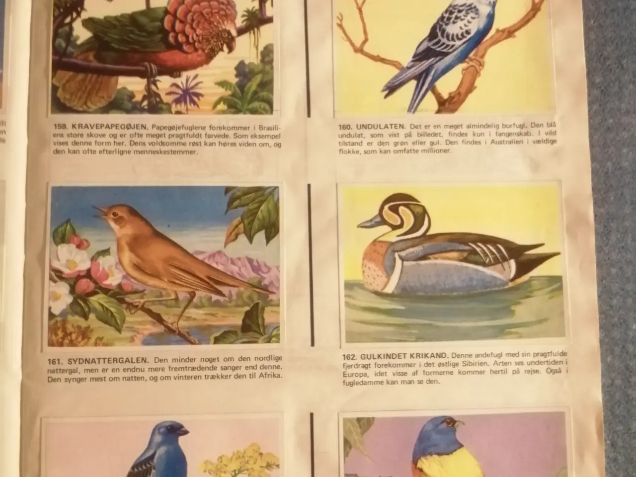 Billede 2 - Naturens Vidundere Samlealbum