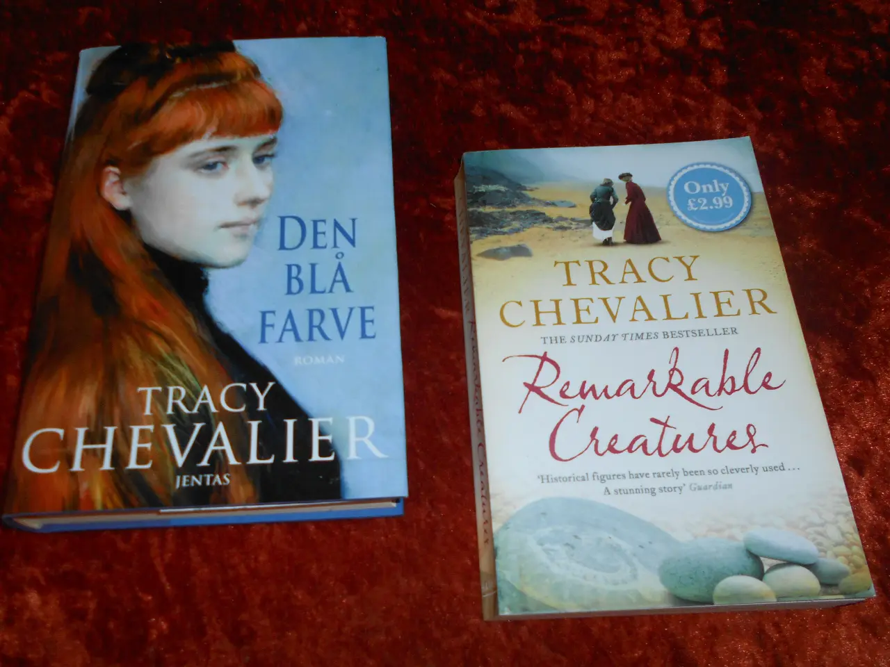 Billede 2 - Remarkable creatures m.fl, Tracy Chevalier