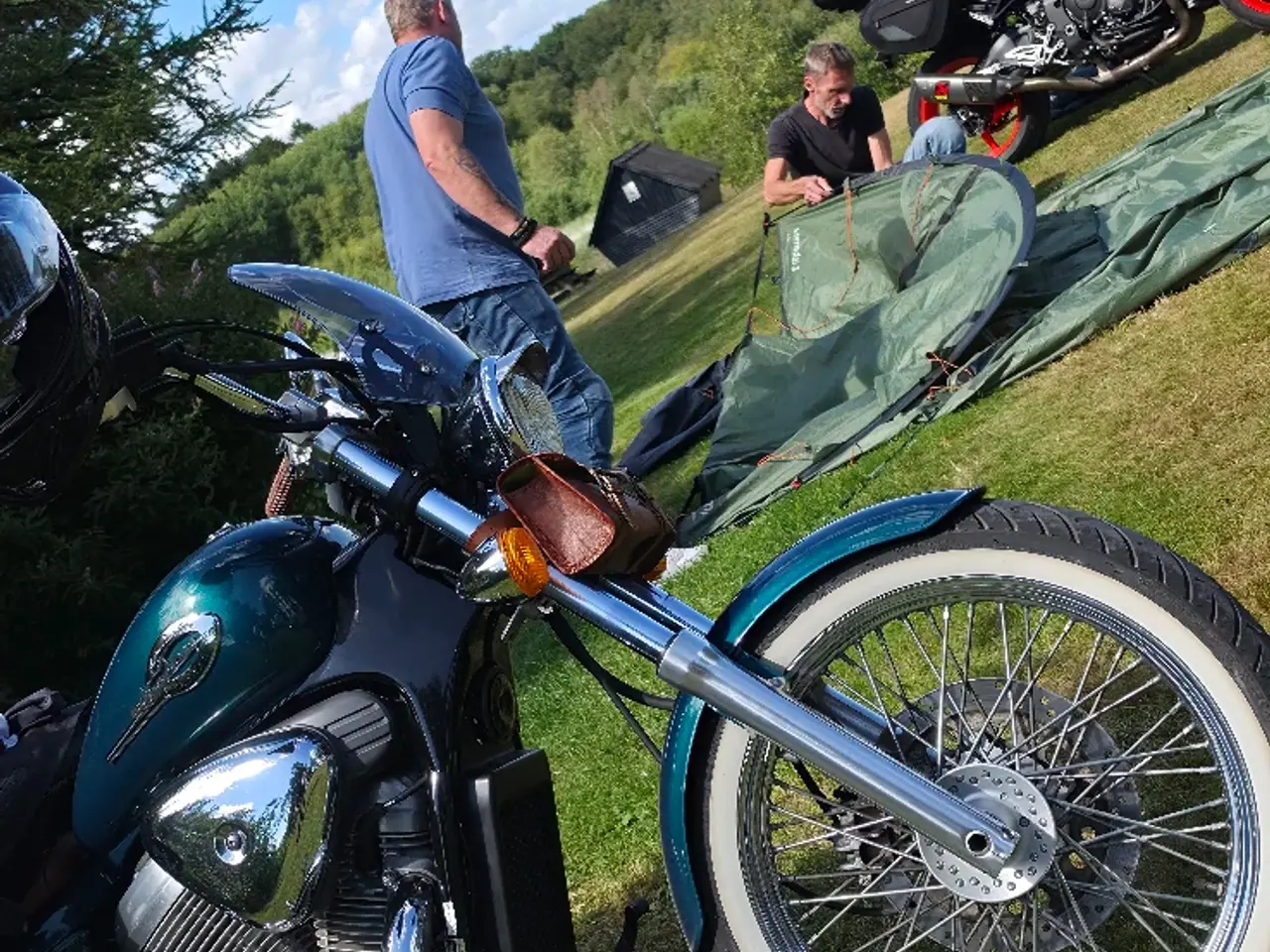 Billede 6 - Honda VT 600 Shadow