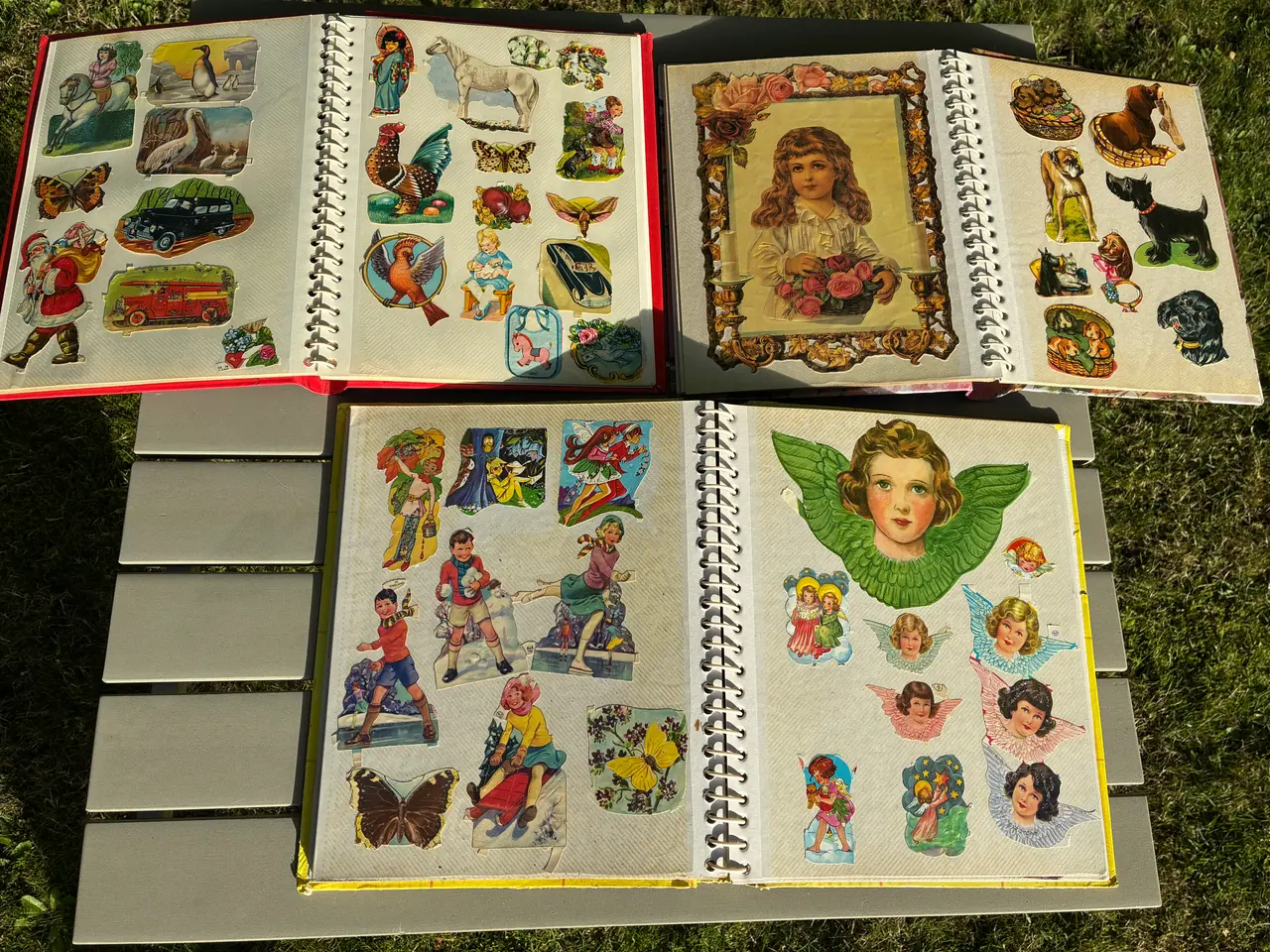 Billede 6 - Gamle glansbilleder i tre albums