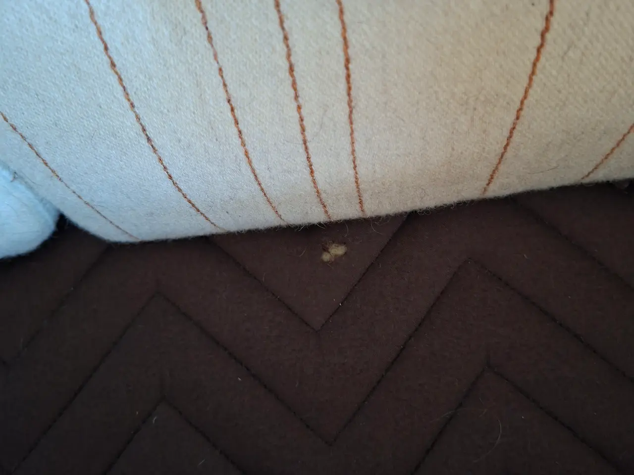Billede 6 - Erik jørgensen sofa 