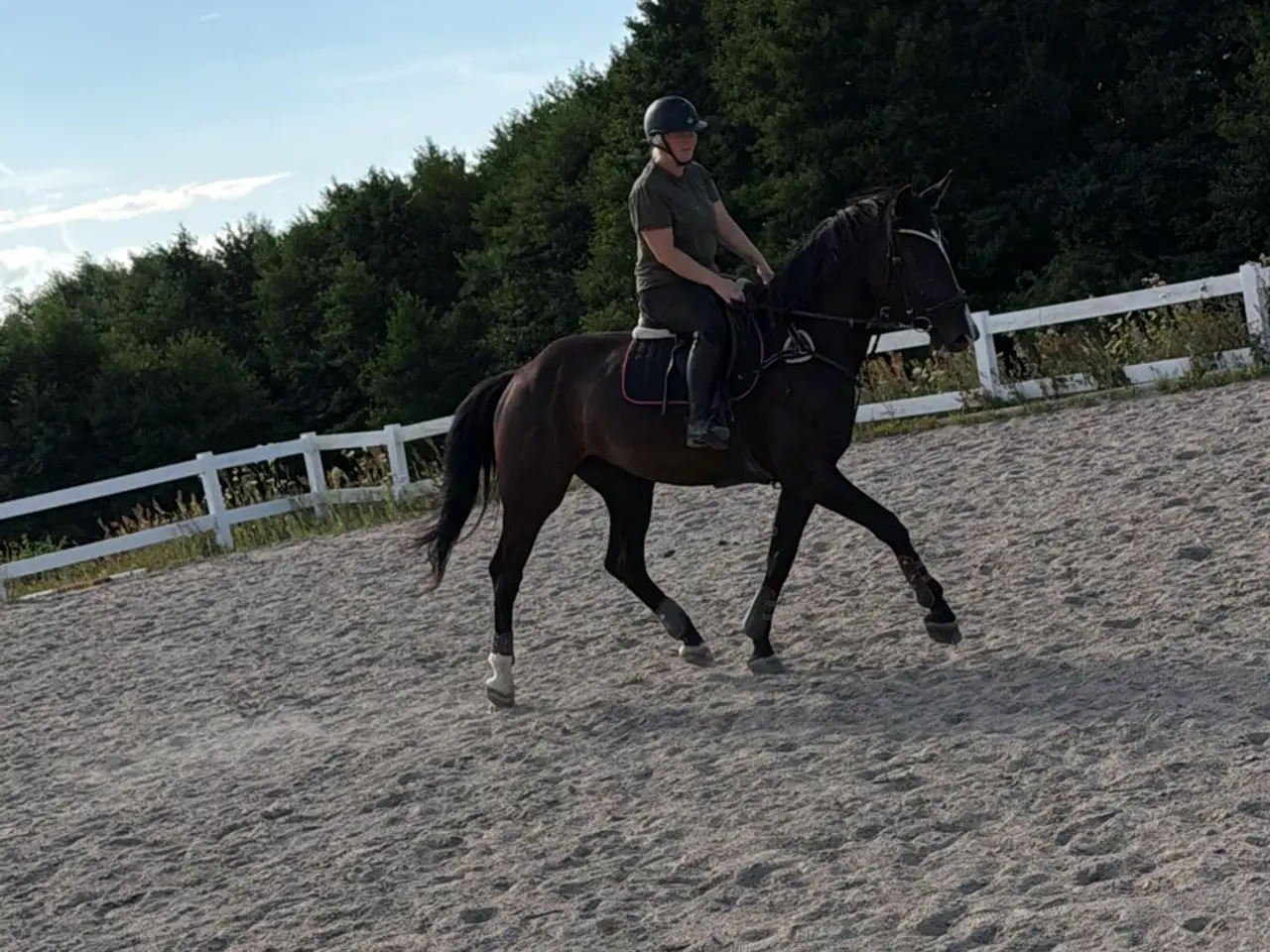 Billede 2 - 5 års hoppe efter Blue horse Kingston 