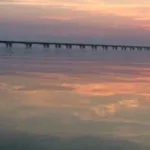 migselv