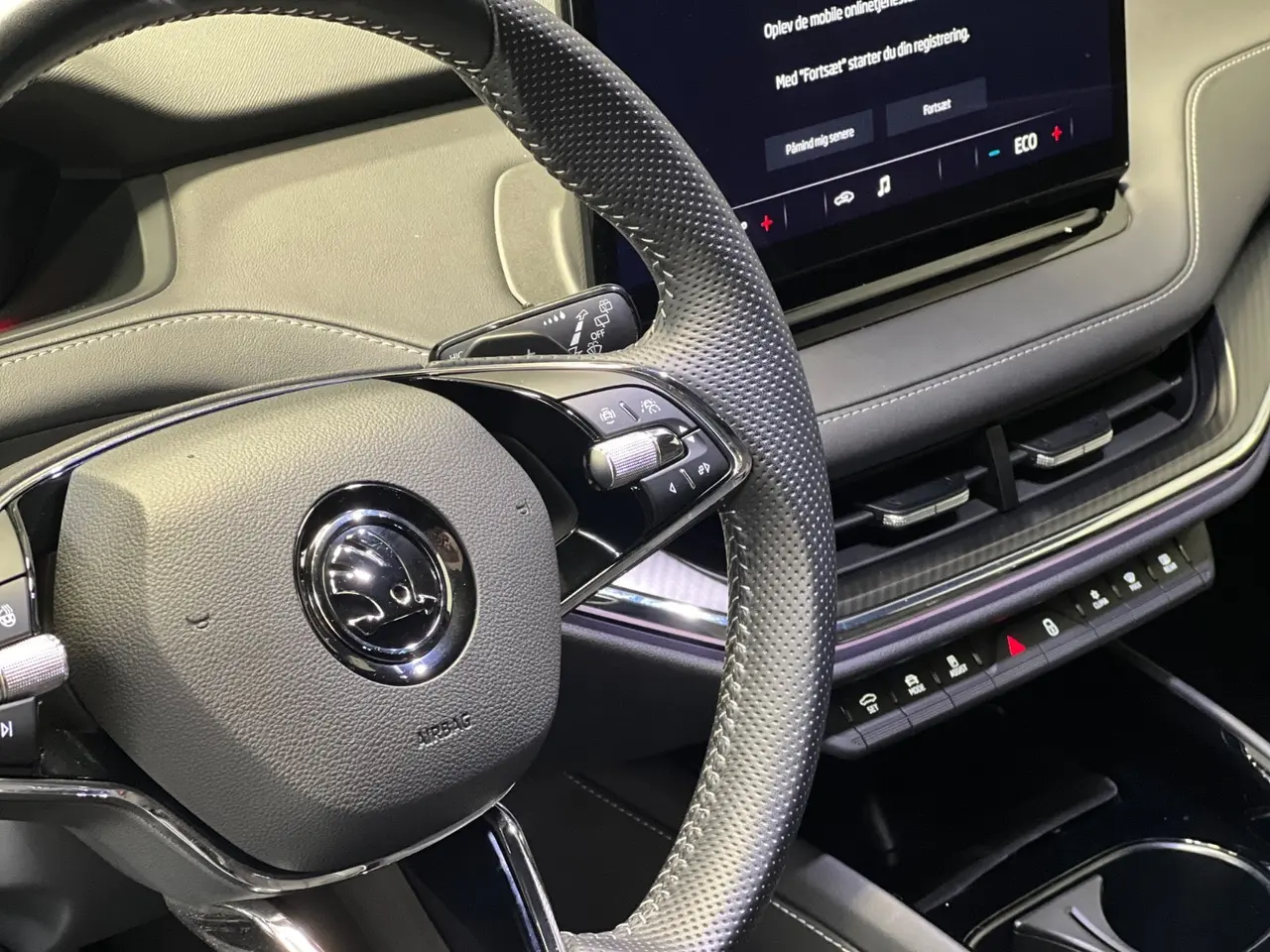Billede 11 - Skoda Enyaq 80 iV Sportline