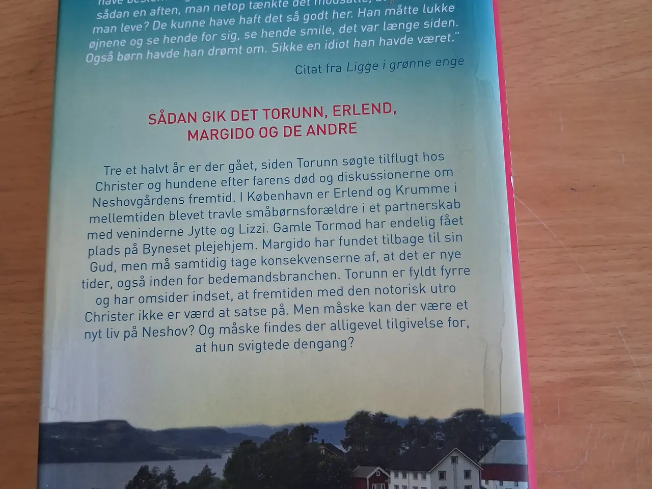 Billede 4 - Altid tilgivelse, Anne B. Ragde