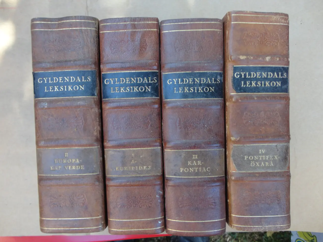Billede 1 - Gyldendals Leksikon