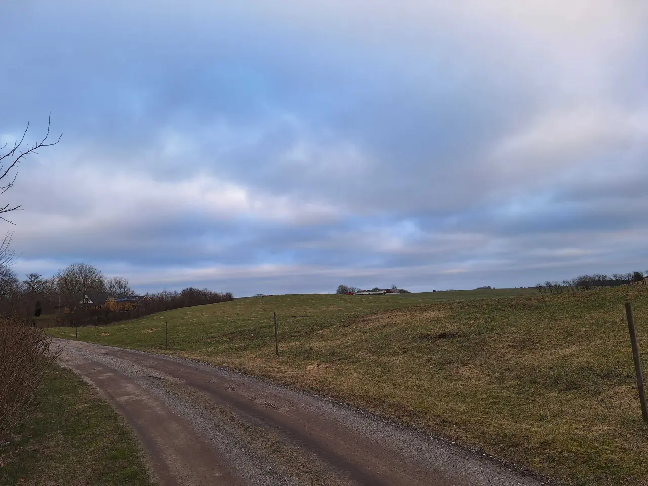 Billede 5 - 1,7 ha til afgrænsning/ wrap/ sommer fold 
