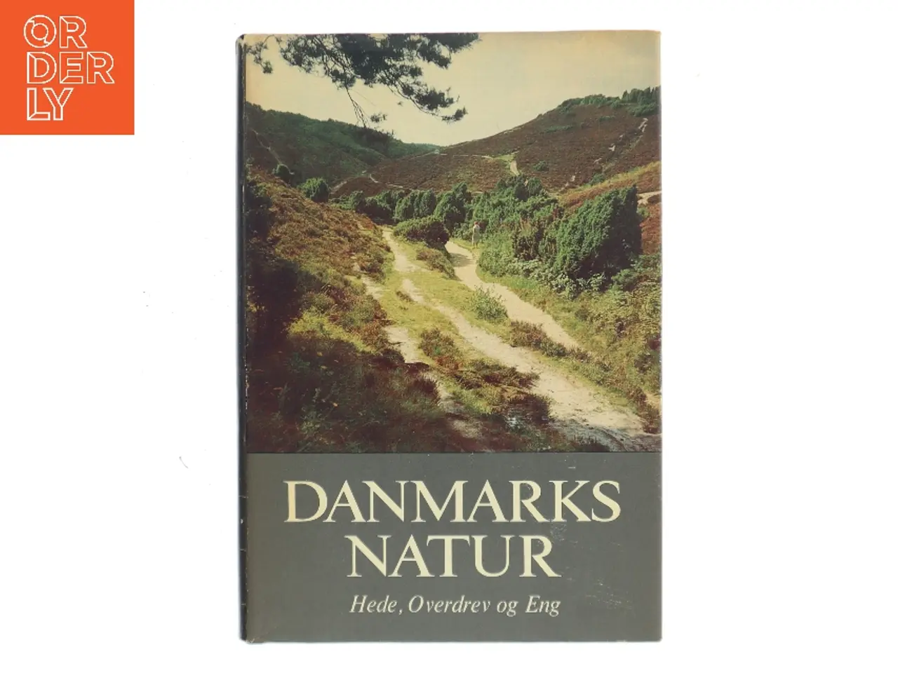 Billede 1 - Danmarks Natur. Bind 7: Hede, Overdrev og Eng (Bog)