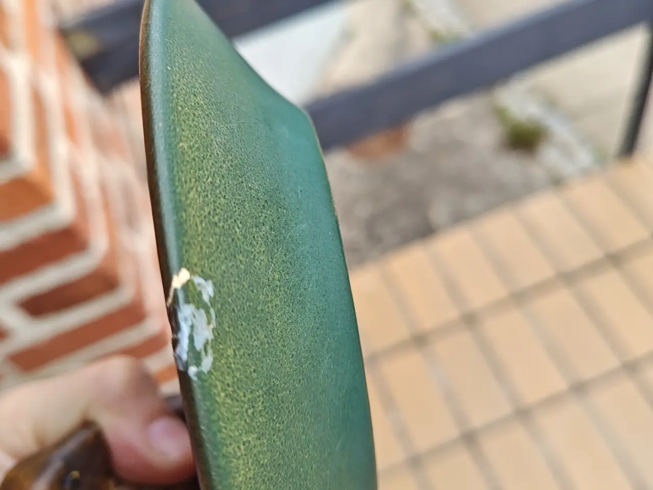 Billede 7 - Egern Fad af Ipsens Enke terracotta