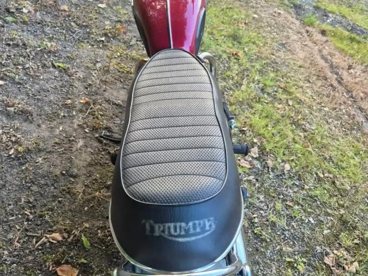 Billede 8 - Triumph Daytona T100R 1971