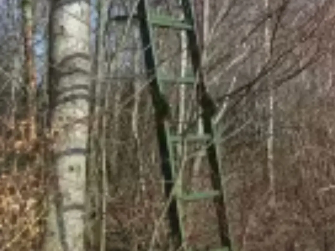 Billede 1 - Jagtstige