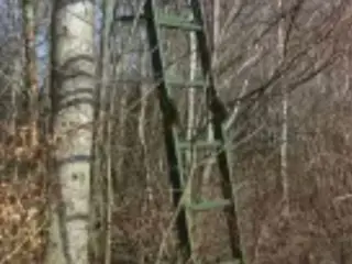 Jagtstige