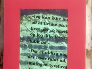 Solen går sin gang, Ernest Hemingway