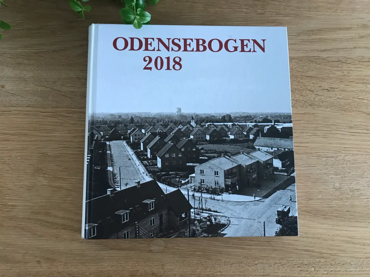 Billede 1 - Odensebogen 2018